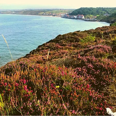 公寓 The Look Out Characterful 惠特比